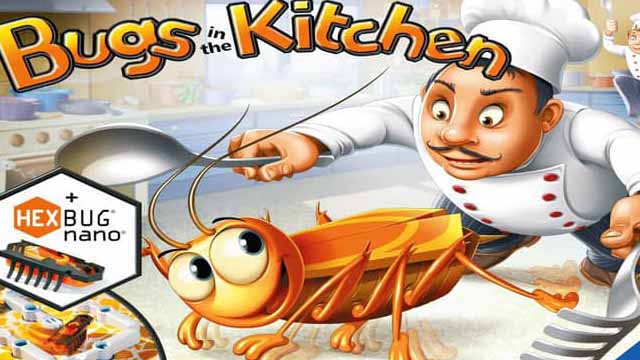bugs-in-kitchen-voice